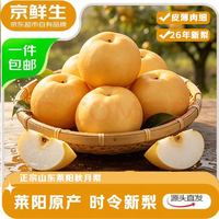 京鲜生 正宗山东烟台莱阳秋月梨净重8斤 单果300g+ 生鲜水果 源头直发