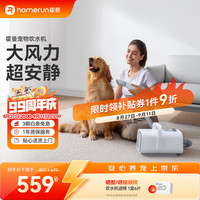 霍曼 宠物吹水机 大功率 大型犬猫咪用