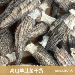 棕林寨高山4-7公分羊肚菌半斤干货肉质肥厚煲汤食材精选佳品