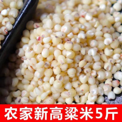 东北白高粱米五斤粗粮健康营养