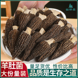 云南羊肚菌干货菌菇煲汤炖煮营养特产无添加2026头茬新货产地直销