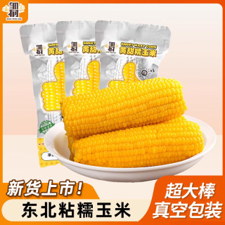 邹有才 东北黏玉米棒真空包装玉米粒新鲜现摘甜粘黏粗粮非即食黄糯苞米