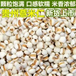 新货薏米仁大薏米五谷杂粮粗煮粥煲汤赤小豆薏仁米