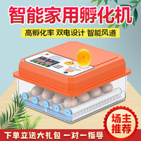 冠羽家用全自动孵化箱小型孵化器鸡鸭鹅鹌鹑鸽子智能孵化机孵蛋器