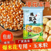 爆裂玉米 球形爆米花专用玉米粒 包邮