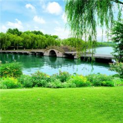直播背景布山水画直播间主播室外山水墙布大气感快手网红背景墙