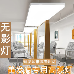 理发店专用无影灯美发店发廊服装店直播间简约客厅led节能护眼灯
