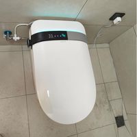 卢某人全功能无水压限制清洗烘干自动翻盖翻圈水路杀菌大座圈马桶