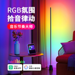 爱耐特 rgb拾音氛围灯客厅卧室电竞房直播拍照补光灯声控音乐节奏落地灯