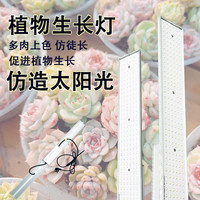 植物补光灯植物多肉上色全光谱防徒仿阳光灯LED补光灯