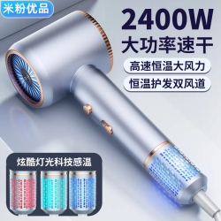 华芙妮 德国优品酒店电吹风机家用高速恒温静音大功率负离子护发家用风筒