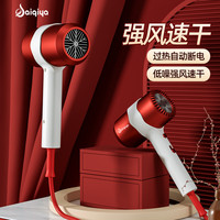 赛琦雅 SAIQIYA/赛琦雅离子护发大风力电吹风大功率吹风机家用电吹风理发