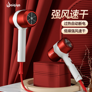 赛琦雅 SAIQIYA/赛琦雅离子护发大风力电吹风大功率吹风机家用电吹风理发