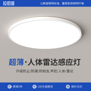 拉伯塔 智能人体感应灯led过道家用声控光控物业楼梯走廊雷达感应吸顶灯