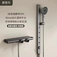 VOPPO沃泊枪灰色升降简易花洒套装无顶喷手持花洒卫生间13263