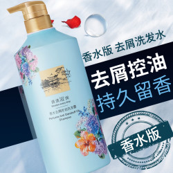 洁碧泉香水去屑控油洗发露750m一瓶-btdrzs