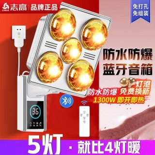志高 壁挂式浴霸灯泡取暖挂墙灯暖挂壁卫生间浴室家用暖灯免打孔
