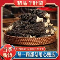 菌状元 4-7cm头茬新货干货高山林地羊肚菌农家菌菇煲汤食材