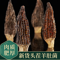 2026新羊肚菌干货头茬正宗煲汤食材50g/袋 现货速发