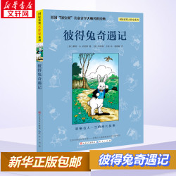 彼得兔奇遇记 新版 彼得兔的故事兔子彼得的故事3-6-7-9-12岁幼儿童故事课外阅读故事图画读物书