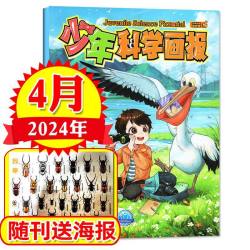 博物杂志2026年1-8月/全年/半年订阅/2025年1-12月远古动物园中小学生中国国家环球少年地