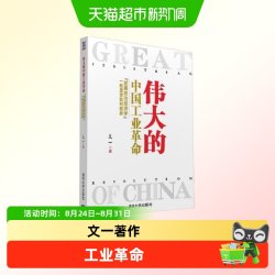 伟大的中国工业革命 文一 著 经济
