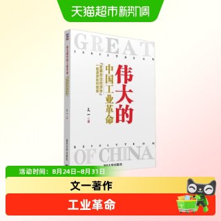 伟大的中国工业革命 文一 著 经济