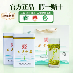 山语鹿 安吉白茶 绿茶2026年新茶 明前特级 高山茶200g 2罐装