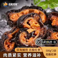 应鱿尽鱿 ·即食冰岛北极红参2斤
