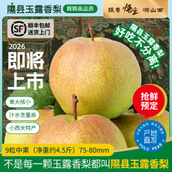 隰(xi)悦玉露香梨2026新梨预售 山西隰县小西天特产水果中秋送礼 9粒中果普通装（约4.5斤）75mm+