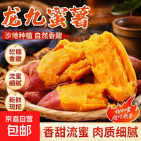 京喜 新鲜沙地蜜薯西瓜红蜜薯糖心红薯烟薯生鲜超市包邮 9斤中大果含箱 (3两起)