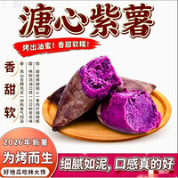 林大 山东糖心紫薯 新鲜蔬菜红薯  中果(单果200g-400g)