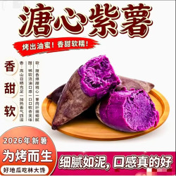 林大 山东糖心紫薯 蜜薯产地直发 净3斤小薯