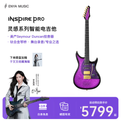 恩雅音乐 enya恩雅Inspire Pro于文文碳纤维智能专业一站式乐器电吉他 星紫（舞台录音/专业之选）