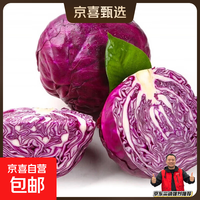 高原露天农家新鲜红甘蓝紫甘蓝沙拉菜买菜生鲜 0.8-1斤带箱(1个小小的)