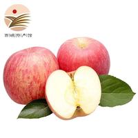 静益乐源 陕西礼泉红富士苹果 净重8.5-9斤大果果径70-80mm