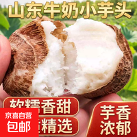 京喜 正宗山东牛奶小芋头毛芋头芋艿香糯新鲜现挖蔬菜 牛奶芋头带箱2斤