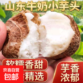 京喜 正宗山东牛奶小芋头毛芋头芋艿香糯新鲜现挖蔬菜 牛奶芋头带箱2斤