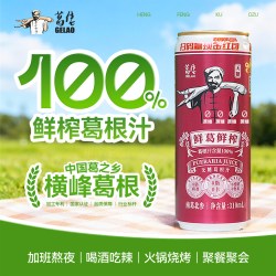 葛佬 无糖零脂葛根汁100%葛根饮料鲜榨饮品礼盒宴请酒局310ml*12罐