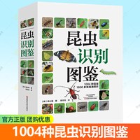 昆虫识别图鉴 1004种昆虫1600多张高清照片自然百科知识读物全书科普婆罗洲异虫志任选韩永植
