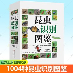 昆虫识别图鉴 1004种昆虫1600多张高清照片自然百科知识读物全书科普婆罗洲异虫志任选韩永植