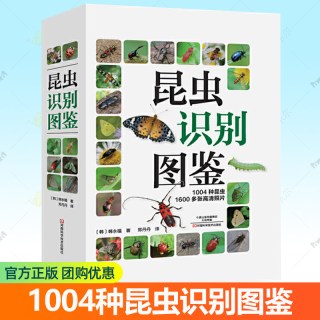 昆虫识别图鉴 1004种昆虫1600多张高清照片自然百科知识读物全书科普婆罗洲异虫志任选韩永植
