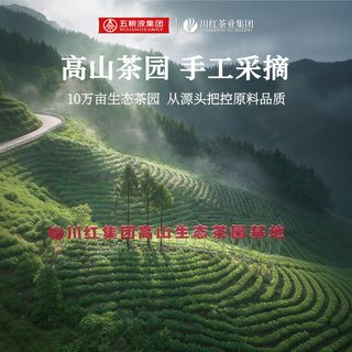林湖 非遗特级川红工夫红茶