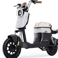绿源 Neo1 液冷电机 纳米黑 48V20Ah*4 电动自行车