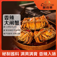 蟹百易香辣蟹3.0两全母 2只装 320g 固形物≥80%螃蟹大闸蟹下酒源头直发