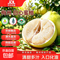 梅州红白蜜柚当季生鲜新鲜水果皮薄肉厚孕妇水果中秋送礼源头直发 白心蜜柚 中果2粒 单果1.5-2.6斤 净重4斤+