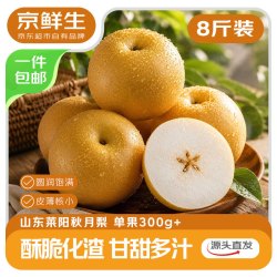 京鲜生 山东莱阳秋月梨 净重8斤 单果300g+
