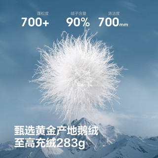 波司登 90%鹅绒极寒连帽中长款女士羽绒服