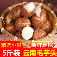 中鲜生 新鲜芋头 带箱5斤 个头较小