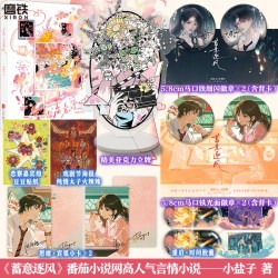 蓄意逐风 小说 小盐子《癫，都癫，癫点好啊》实体书言情小说实体书番茄图书 磨铁图书正版